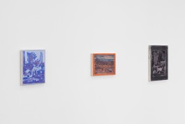 cosimazuknyphausen.info