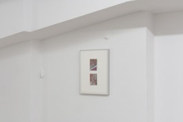 cosimazuknyphausen.info