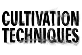 cosimazuknyphausen.info