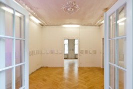 cosimazuknyphausen.info