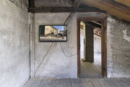 cosimazuknyphausen.info