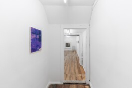 cosimazuknyphausen.info