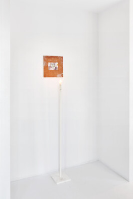 cosimazuknyphausen.info