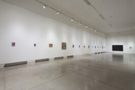 cosimazuknyphausen.info