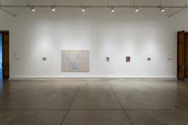 cosimazuknyphausen.info