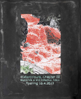 cosimazuknyphausen.info