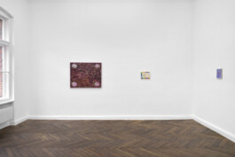 cosimazuknyphausen.info